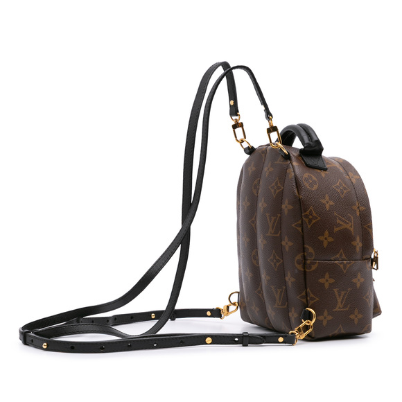 Pre-Loved Louis Vuitton Monogram Mini Palm Springs - Picture 2 of 9
